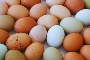 Organic eggs orange white and light brown 
