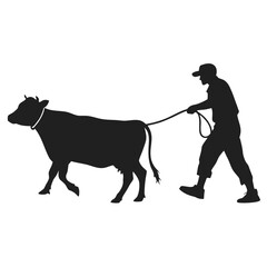Man pulling rope tied to cow