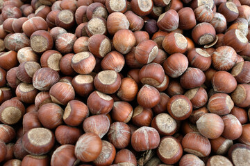 Close up of ripe dry hazelnuts in shell.	