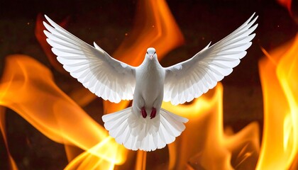 White dove in fiery background