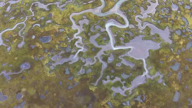 Sinuous channels meander through a beautiful salt marsh on Cape Cod, Massachusetts. These natural carbon sinks are sheltered nurseries for wildlife and act as a buffer against storms and waves.