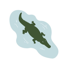 Top view of a green alligator swimming in light blue water with a white background