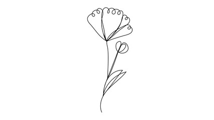 Minimalistic continuous line video of tropical flowers, including tulips, poppies, peonies and orchids, elegant botanical illustration for beauty salon, floral shop, animation. - Powered by Adobe