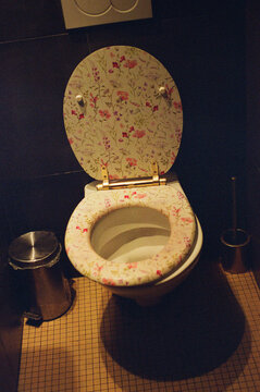 Flowered public WC view