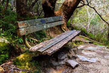 Old Bench on Hiking Trail