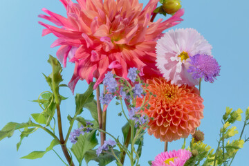 Brightly colored flowers in a vibrant spring arrangement 