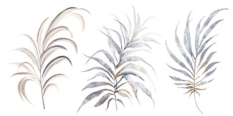 Palm leaves and tropical plants collection. Watercolor botanical illustration of isolated foliage, fronds, and branches for design, print, decoration, and wedding projects.