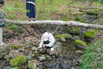 A woman is kneeling in a stream, looking for something. A man is standing on a log above her. A third person is standing behind them