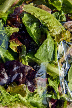 Salad in a plastic bag