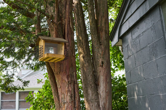 Wooden bird house on the tree
