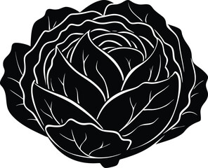 Cabbage Head Silhouette Illustration | Cabbage Vegetable Outline