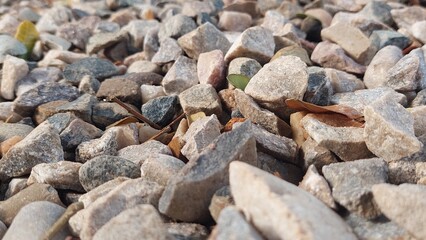 Curated image of closeup of small rocks and pebbles on the ground in the sunlight.