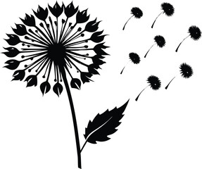 Dandelion Leaves Silhouette Illustration | Dandelion Plant Outline