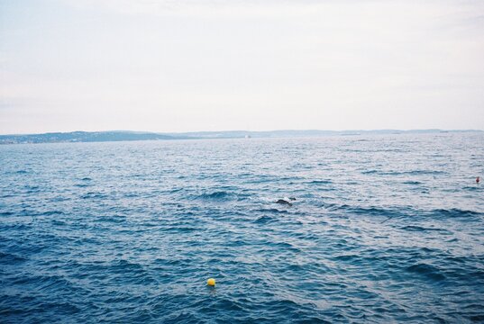 Blue Sea - film shot