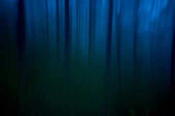 Blurry landscape of a forest in the dark