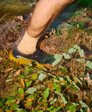Man moves through the forest