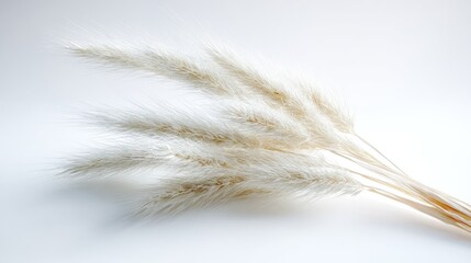 Dried pampas grass arrangement