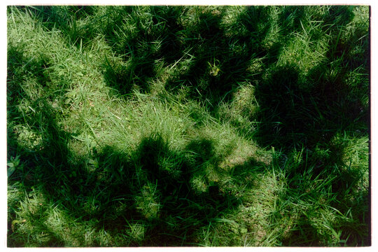 Film image of a green lawn