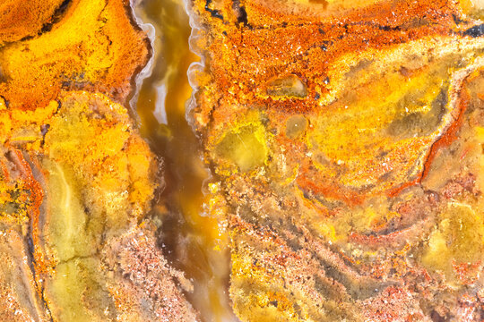 Multicolored Java Jasper Closeup  