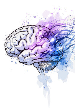 Artistic Representation of a Human Brain with Swirling Colors and Energetic Neuronal Connections