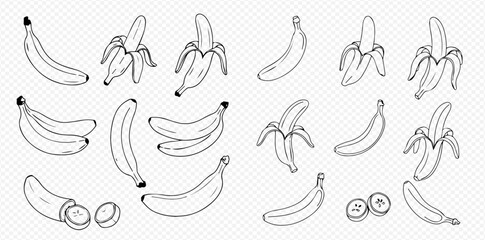 A collection of hand-drawn banana illustrations, showing whole, peeled, sliced, and bunched fruit in a simple line art style. © Lunara Arts