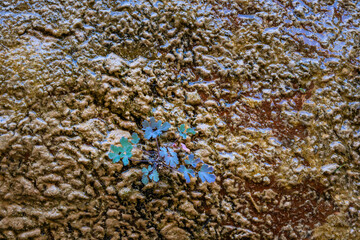 Obraz premium Plants growing out of rock cliff wall with water weeping down, Riverside Trail, Zion National Park, Utah 