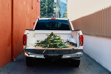Corn in Pickup Truck Alley