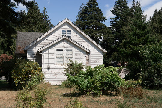 Fototapeta Old white wooden cottage in garden