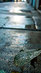 A wet urban street with a leaf