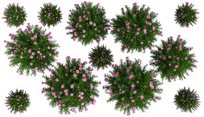 Top-down view of numerous potted plants