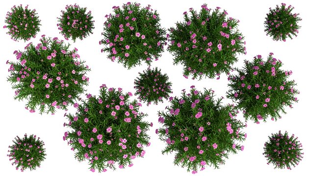 Top-down view of numerous potted plants