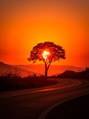 Road at sunset with tree in backlight created in Generative AI