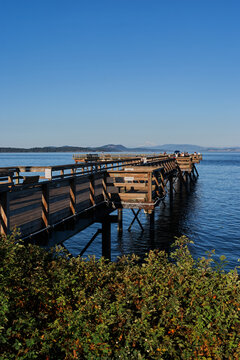 Ocean Pier Extending from Sidney Shoreline under Clear Sky

