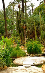 ścieżka z betonowych kręgów i kamienne schody w egzotycznym ogrodzie z palmami, gaj palmowy, a path of concrete circles on the pond, Huerto Del Cura Botanical garden palm in Elche, Alicante, spain, © kateej