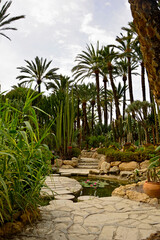 ścieżka z betonowych kręgów i kamienne schody w egzotycznym ogrodzie z palmami, gaj palmowy, a path of concrete circles on the pond, Huerto Del Cura Botanical garden palm in Elche, Alicante, spain, © kateej