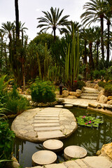 ścieżka z betonowych kręgów i kamienne schody w egzotycznym ogrodzie z palmami, gaj palmowy, a path of concrete circles on the pond, Huerto Del Cura Botanical garden palm in Elche, Alicante, spain, © kateej