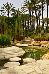 ścieżka z betonowych kręgów i kamienne schody w egzotycznym ogrodzie z palmami, gaj palmowy, a path of concrete circles on the pond, Huerto Del Cura Botanical garden palm in Elche, Alicante, spain, © kateej