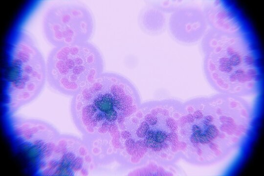 Colorful Microscopic View of Biological Cells in a Laboratory