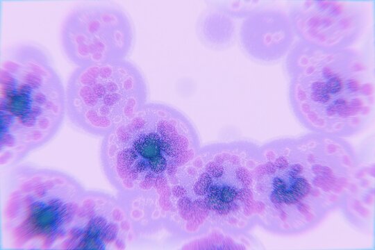 Microscopic View of Colorful Cells in a Biological Sample