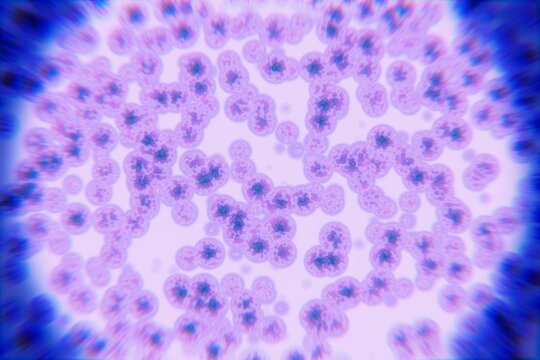 Colorful Microscopic Cells in a Vibrant Biological Sample