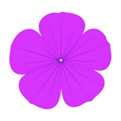 Fototapeta premium Vibrant purple flower, flat lay, simple design