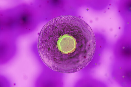 Close-up of a Cell Showcasing Intricate Structures in Vibrant Colors