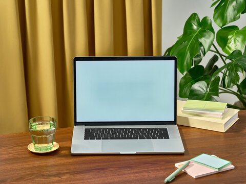 Laptop with blank screen on wooden desk with glass of water and plant
