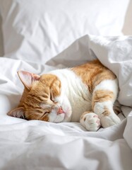 Orange and white cat sleeping in white sheets