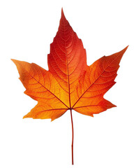 Autumn leaf isolated on transparent background PNG created in Generative AI