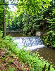 Forest stream cascade