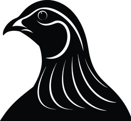 black and white bird on transparent background