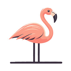 
flamingo illustration design