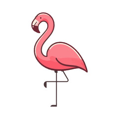 
flamingo illustration design