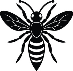 A vector tattoo design featuring a black and white butterfly and a spider, incorporating tribal art and a decorative web pattern